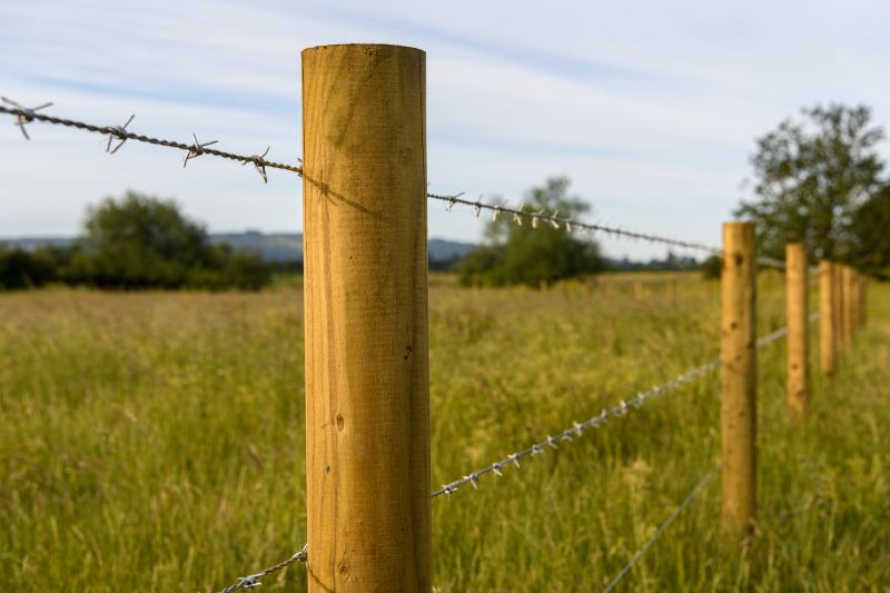 Barbed Wire Fence Replacement detail